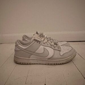 Nike Dunk Low Top Sneakers